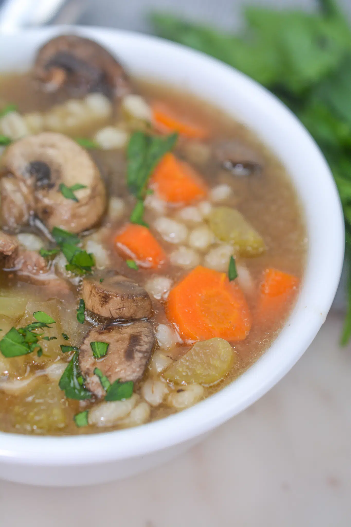 Beef And Barley Soup