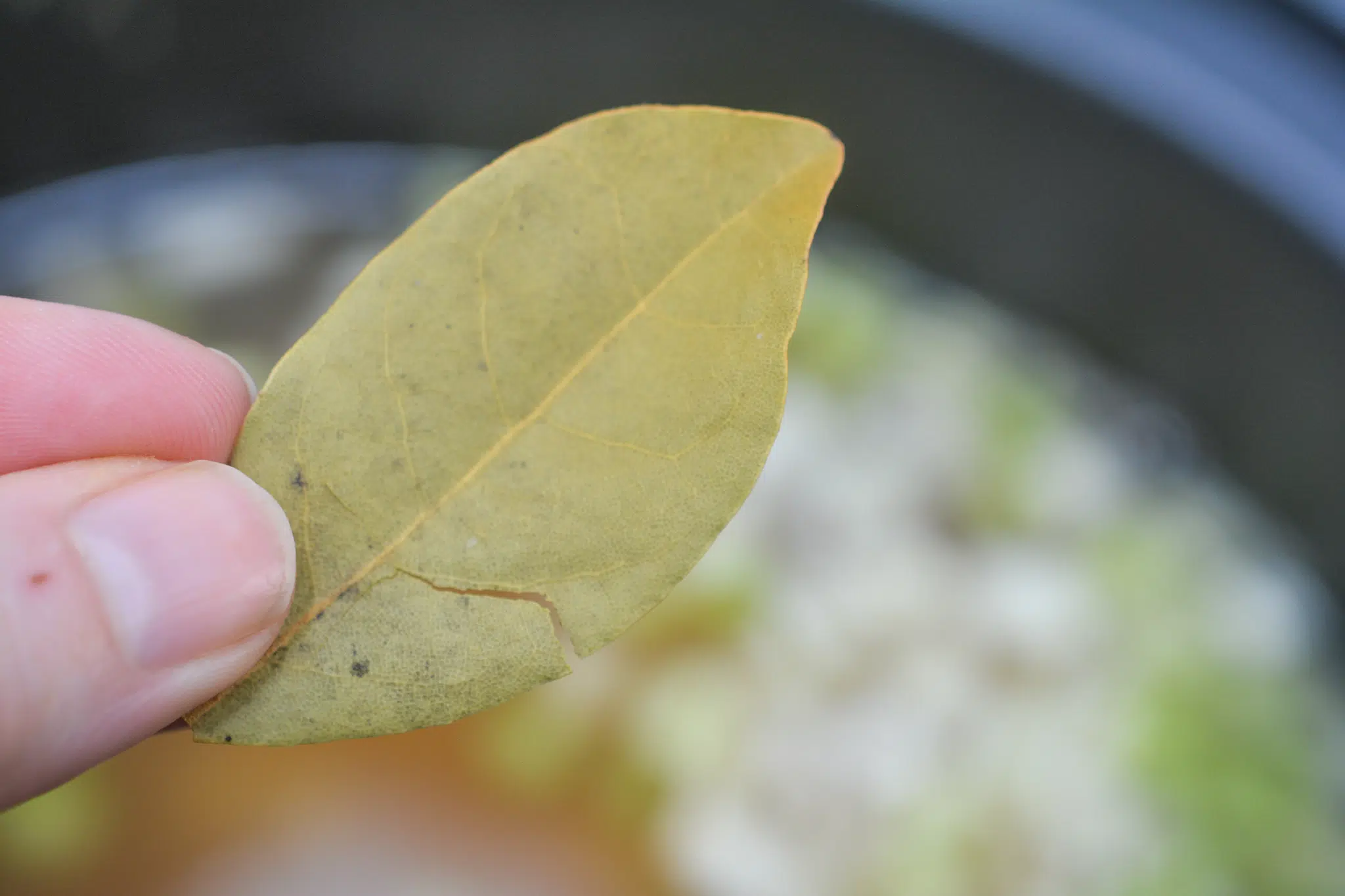 Beef And Barley Soup