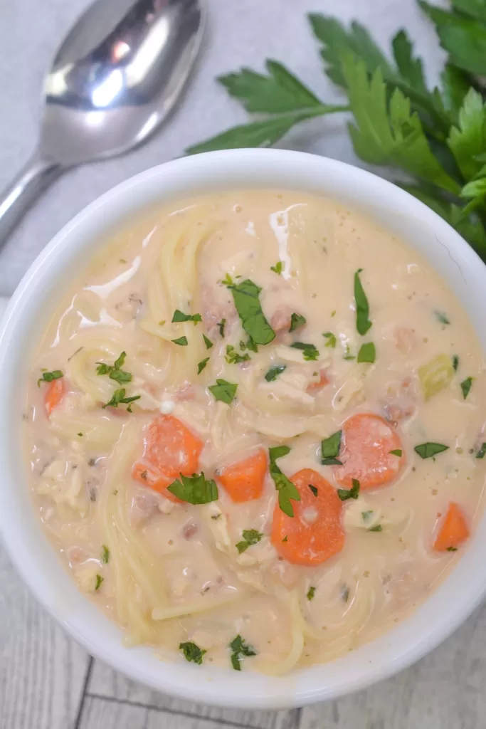 Crack Chicken Noodle Soup