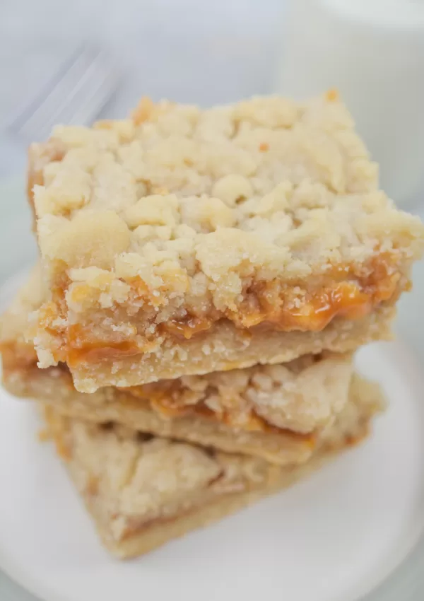 Delicious Salted Caramel Butter Bars – Perfect for Any Occasion!