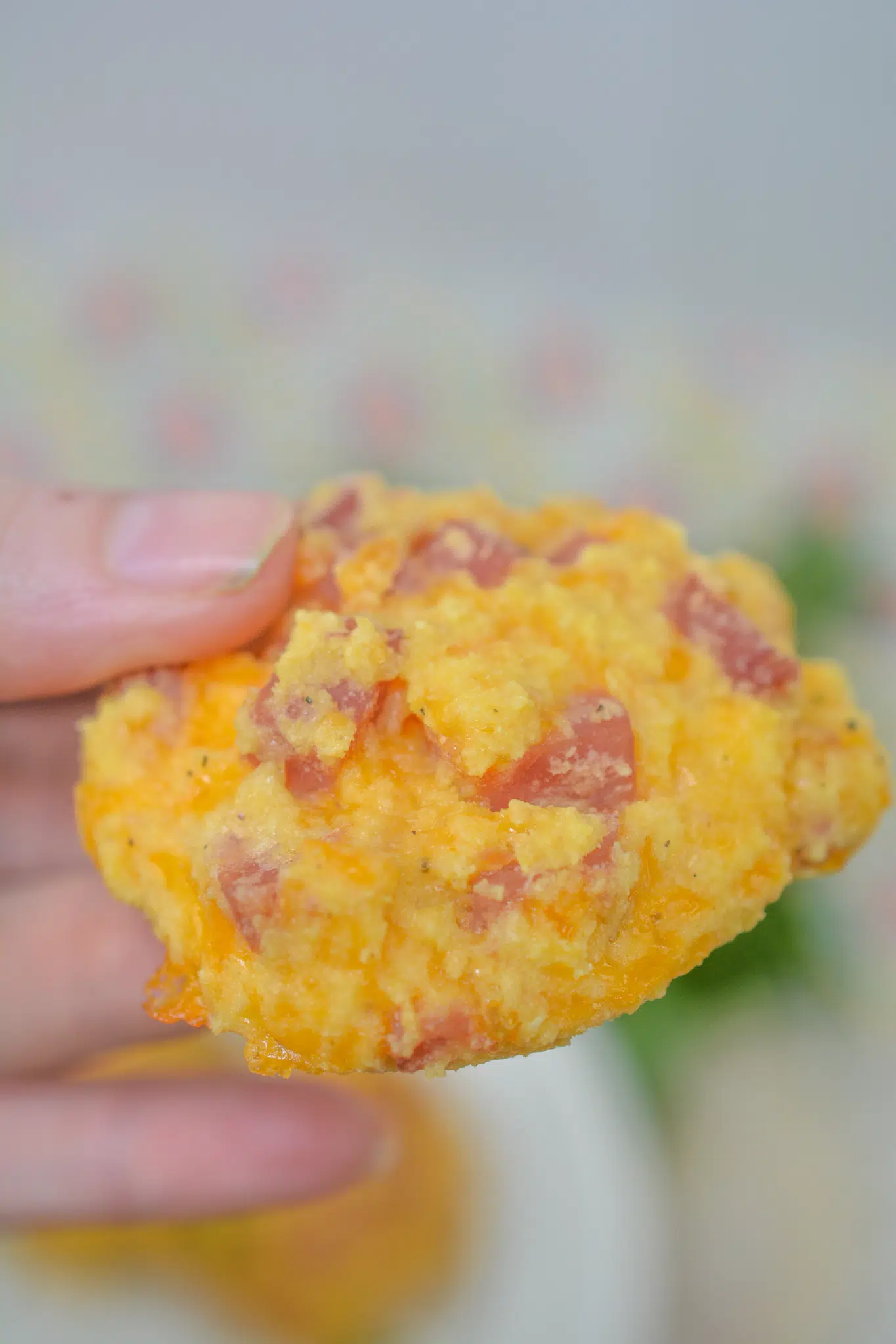 Ham and Cheese Bites