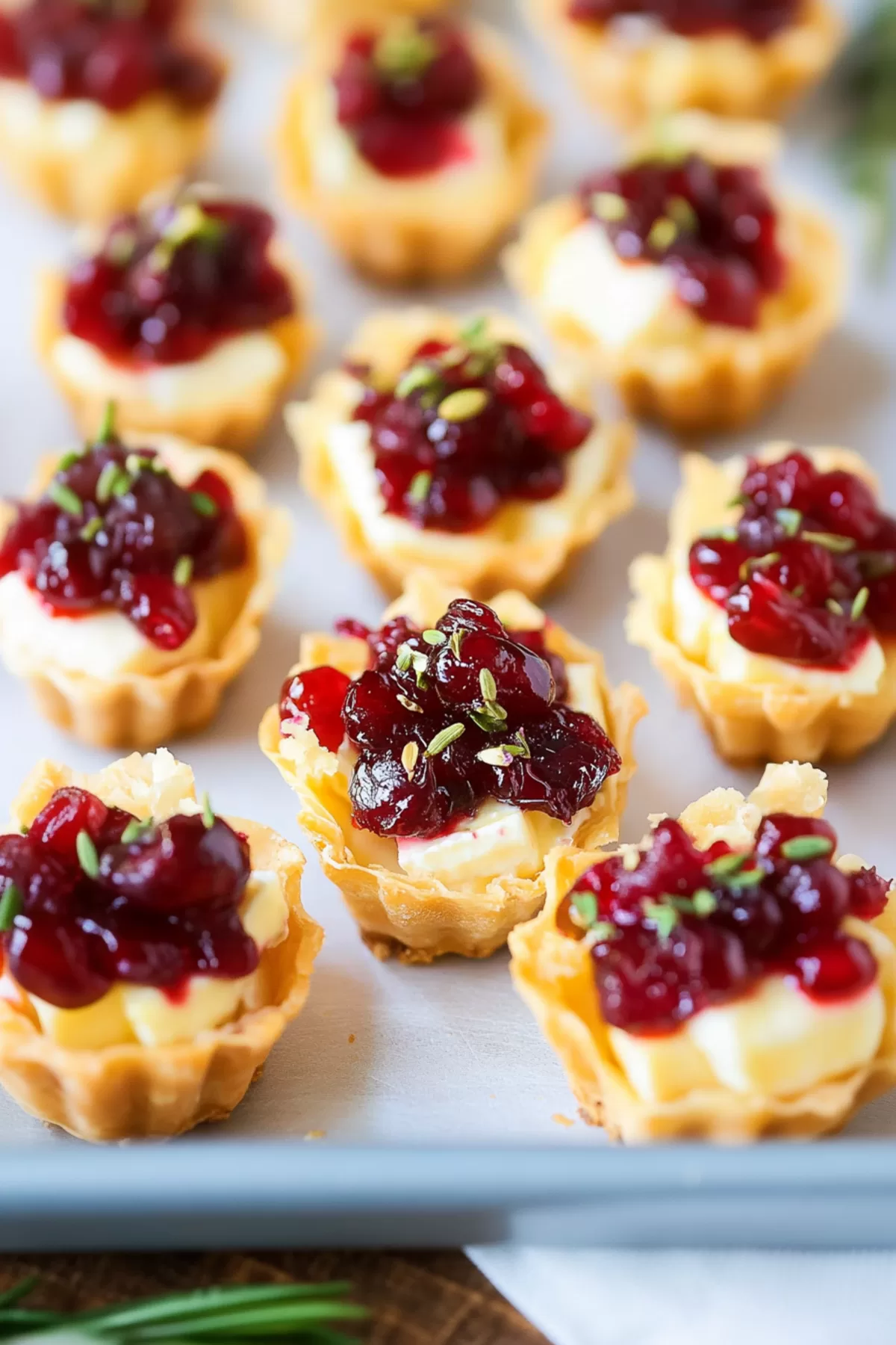 Perfectly baked mini bites featuring a balance of creamy cheese and sweet-tart cranberries, ready to enjoy