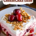 Cherry Cheesecake Lush