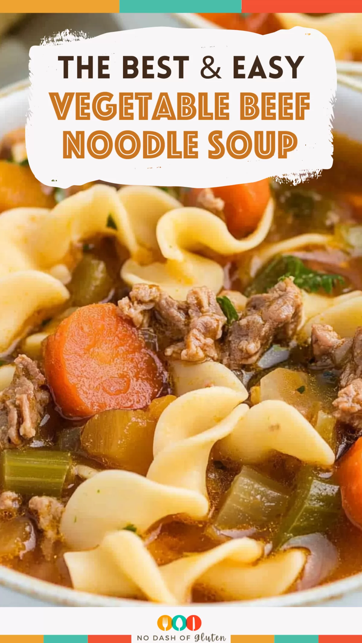 Vegetable Beef Noodle Soup