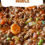 Onion Savoury Mince