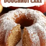 Apple Cider Doughnut Cake