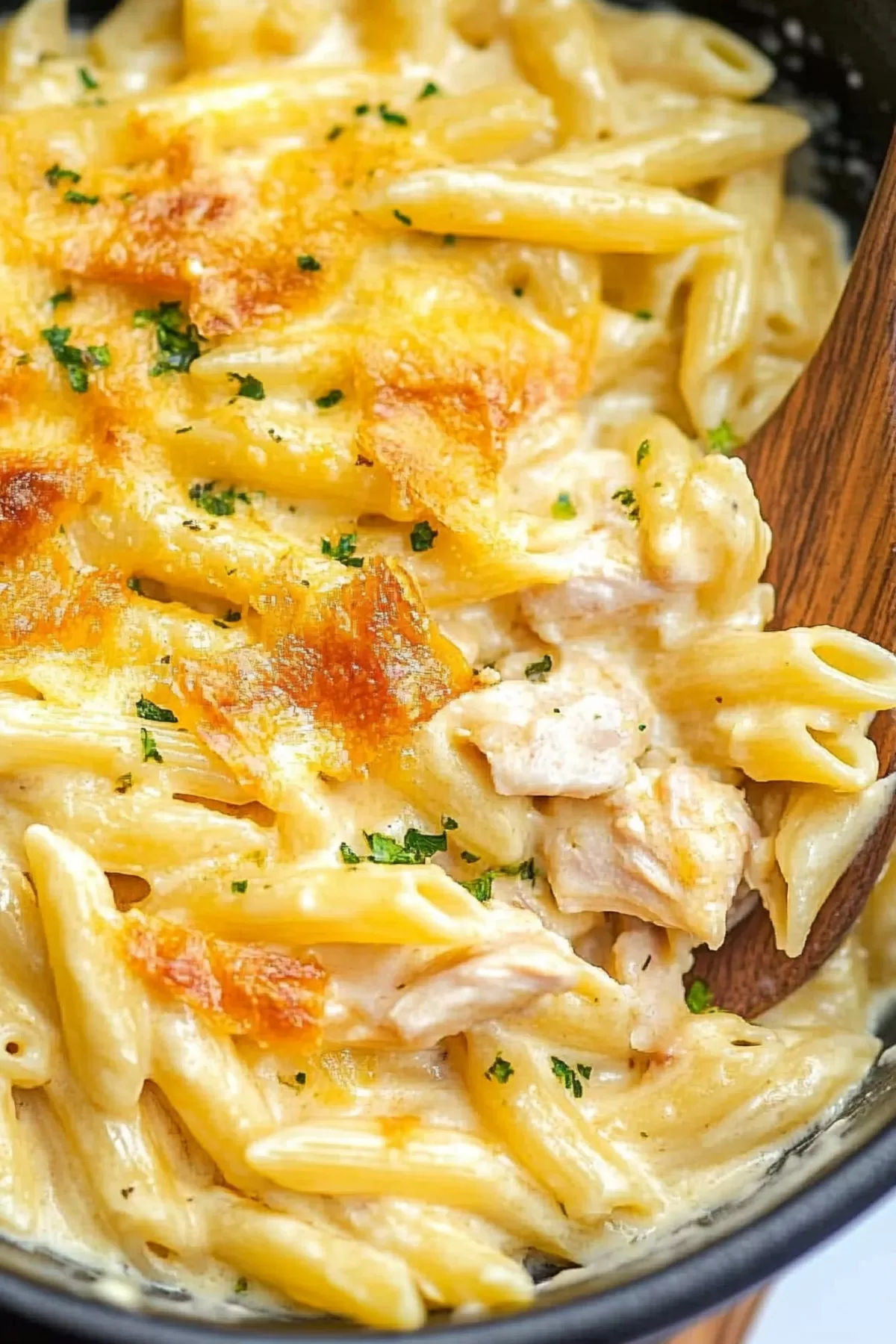 Pasta dish featuring a blend of cheese, chicken, and bacon, garnished with fresh herbs.