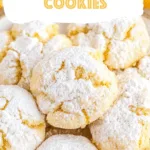 Orange Crinkle Cookies