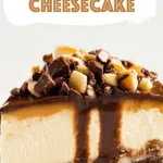 Turtle Cheesecake