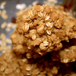 Oatmeal Cranberry Pecan Cookies