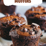 Chocolate Bliss Muffins