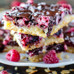 Chocolate Raspberry Magic Bars