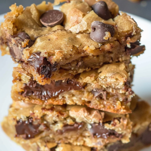 Easy Bake Chocolate Chip Squares