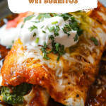 Saucy Enchilada-Style Wet Burritos