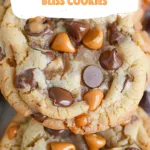 Sea Salted Butterscotch Bliss Cookies