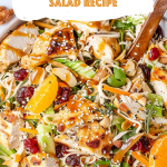 Asian Chicken Cranberry Salad Recipe