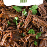 Easy Mexican Shredded Beef