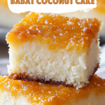 Traditional Wingko Babat Coconut Cake