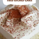 Delicious Dairy-Free Tres Leches Cake