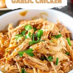 Easy Crock Pot Honey Garlic Chicken