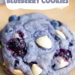 Healthy Frozen Blueberry Cookies