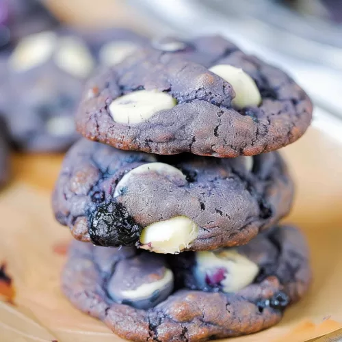 Healthy Frozen Blueberry Cookies