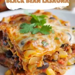 Layered Mexican Black Bean Lasagna