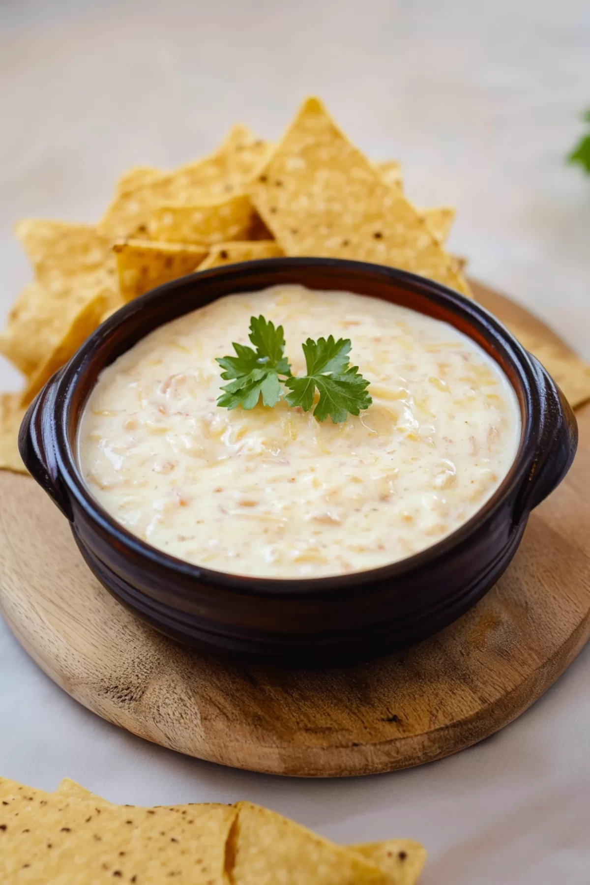 Queso Blanco (White Cheese Dip)