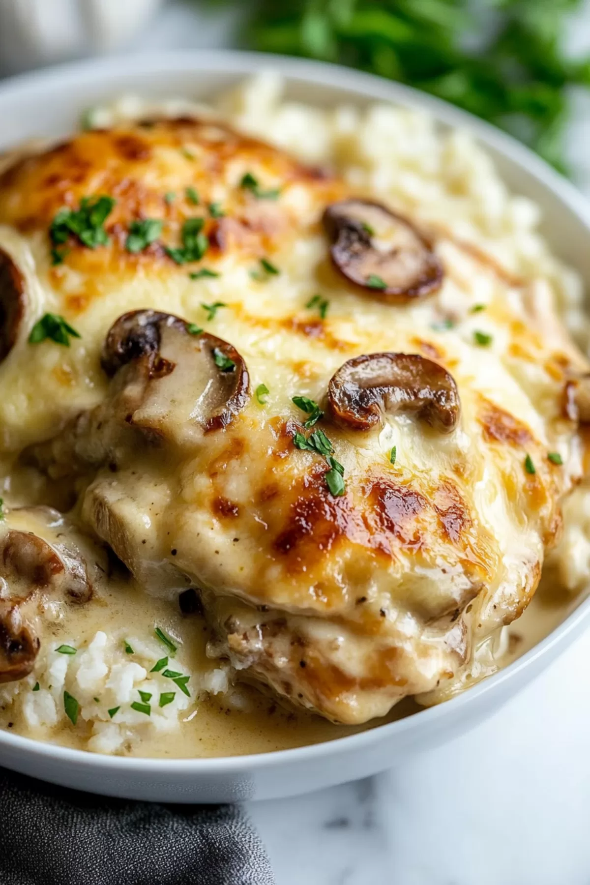 Bubbly and golden casserole fresh out of the oven, with visible layers of chicken and mushrooms.