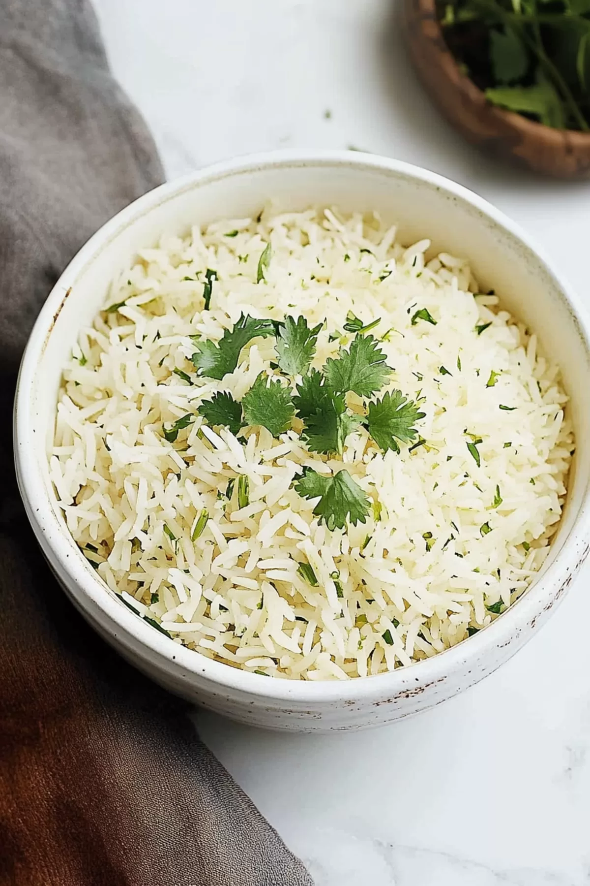 A beautifully plated side dish of rice, topped with a sprig of cilantro.