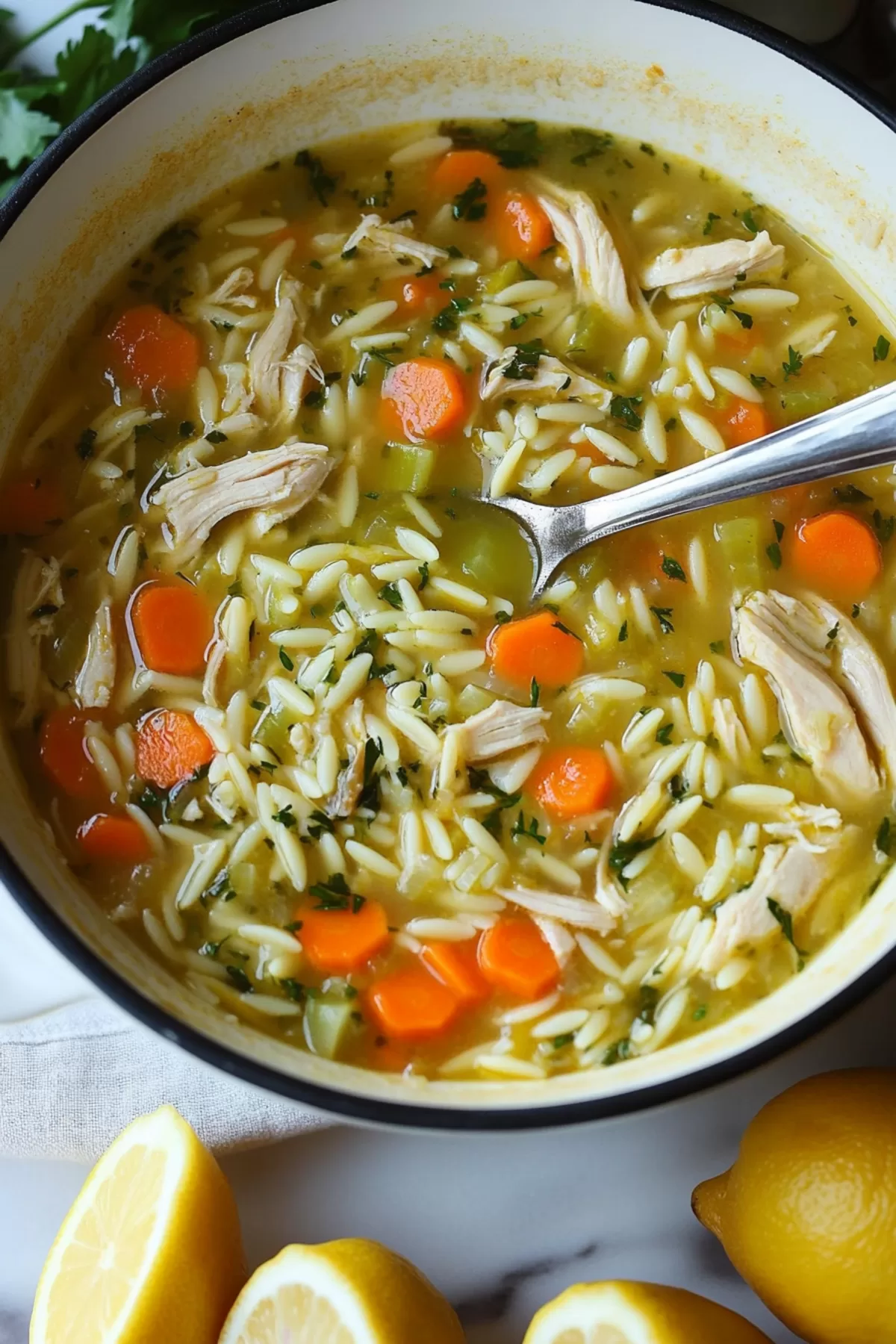 Bright and inviting soup garnished with fresh parsley and a hint of lemon zest, ready to enjoy.