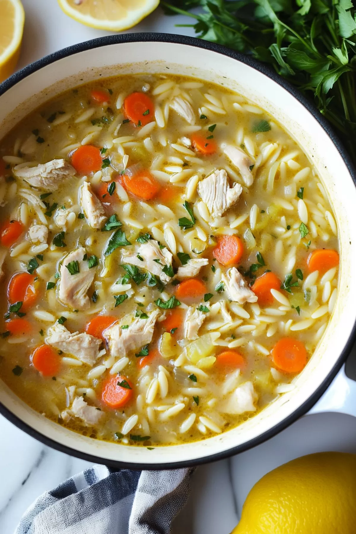 A comforting bowl of soup with tender chicken, orzo pasta, and vibrant vegetables, garnished with fresh dill.