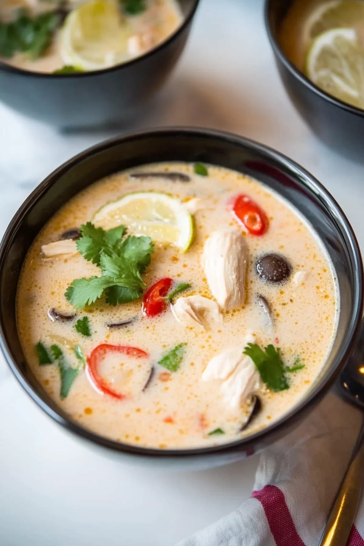 A beautifully plated soup with tender chicken pieces and mushrooms in a creamy, aromatic broth.