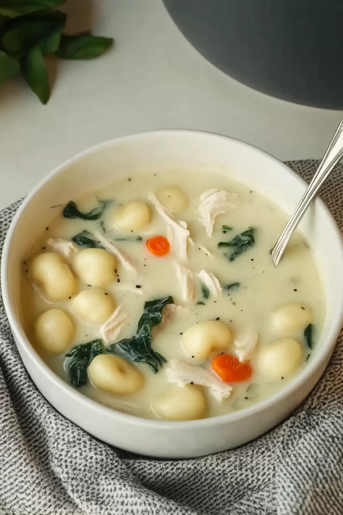 A hearty serving of chicken gnocchi soup in a white bowl, featuring colorful carrots and vibrant green spinach.