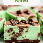 Mint Chocolate Fudge