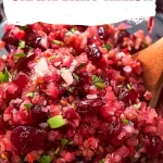 Easy Cranberry Relish