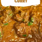 Instant Pot Beef Curry