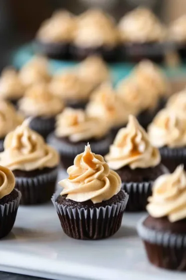 Mini Chocolate Cupcakes Recipe with Sweet Frosting