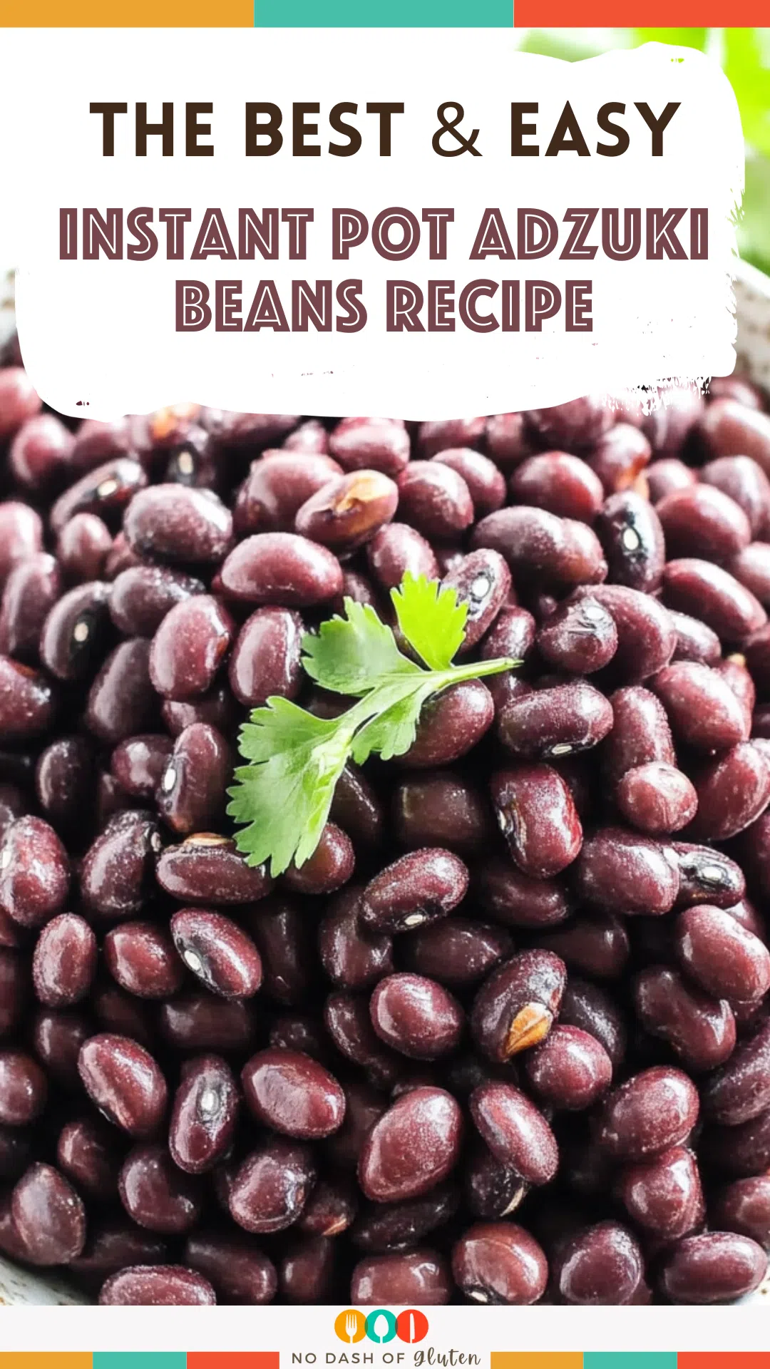 Instant Pot Adzuki Beans Recipe