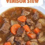 Instant Pot Venison Stew