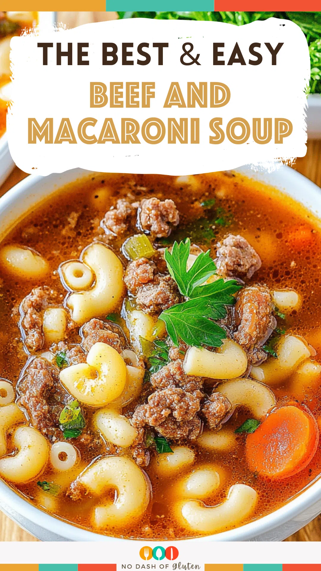 Beef and Macaroni Soup