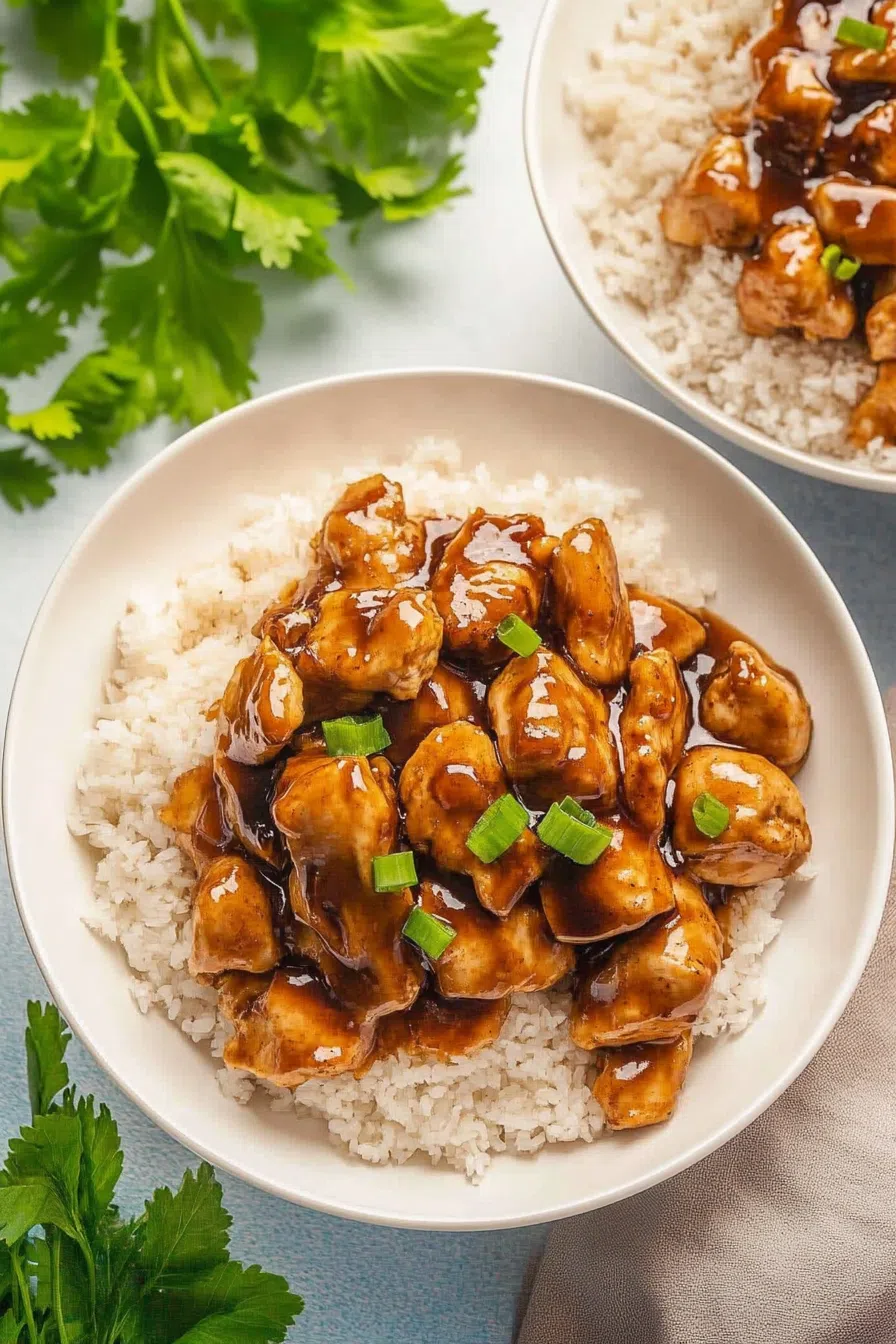 Overhead view of a comforting rice bowl with saucy protein pieces.