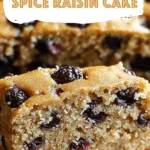 Old-Fashioned Spice Raisin Cake