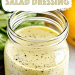 Olive Garden Salad Dressing