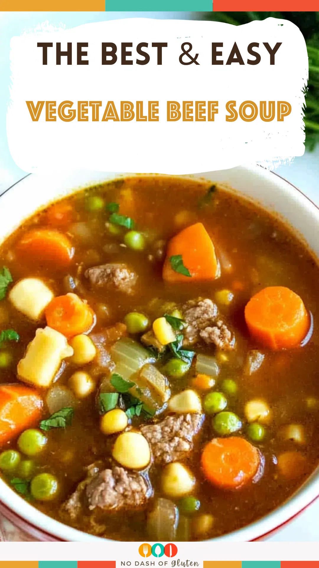 Vegetable Beef Soup