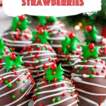 Chocolate Covered Strawberries