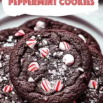 Double Chocolate Peppermint Cookies