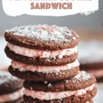 Stuffed Chocolate Peppermint Cookies Sandwich