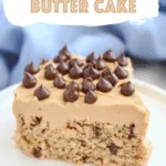 Double Peanut Butter Cake