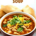 Spicy Chicken Soup